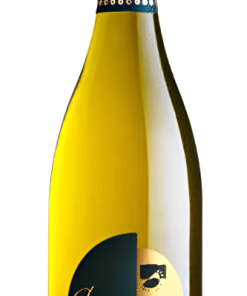 Chardonnay Veneto, 2023 by Campagnola Winery