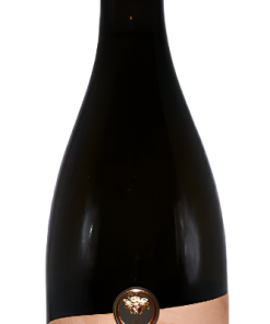 Salice Salento Bianco, 2023 Tinaia by Due Palme